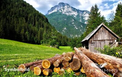 Wald- und Wiesengrundstücke in Arzl im Pitztal, 6471 Arzl im Pitztal, Land und Forstwirtschaft