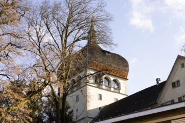 Historischer Blick, modernes Wohnen – Maisonette an der Oberstadt, 6900 Bregenz (Österreich), Wohnung