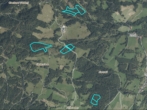 Bild - Waldgrundstücke in Arzl im Pitztal