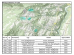Bild - Waldgrundstücke in Arzl im Pitztal
